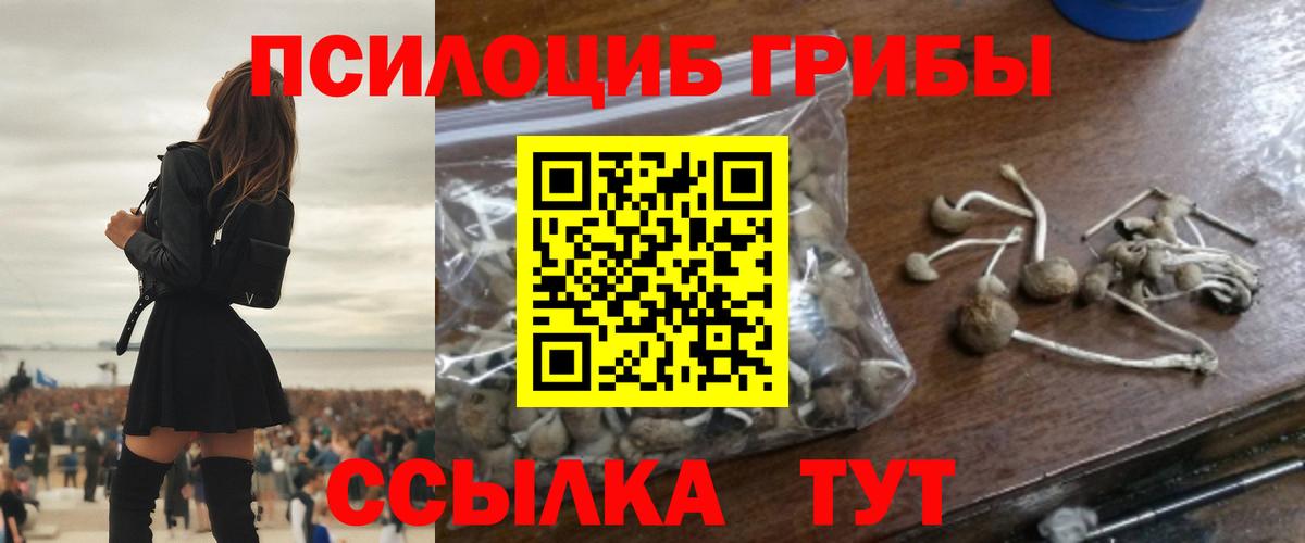 Галлюциногенные грибы GOLDEN TEACHER Мыски